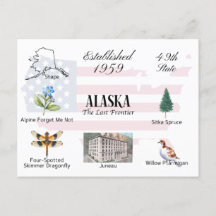 Alaska Postcard Staat und Sehenswürdigkeiten Postkarte