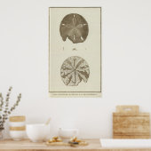 Alaska Poster (Küche)