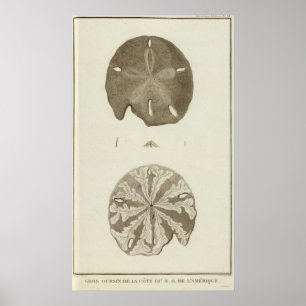 Alaska Poster