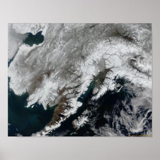 Alaska Poster (Vorne)