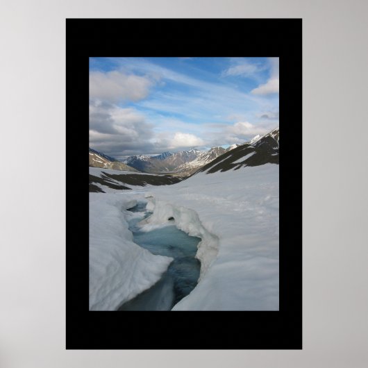 Alaska Poster (Vorne)