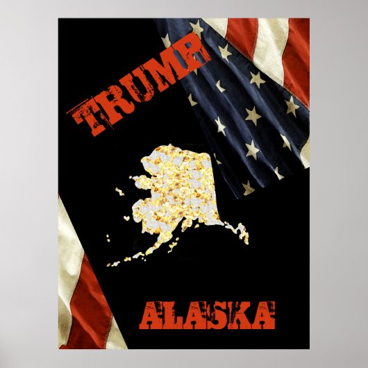 ALASKA POSTER (Vorne)