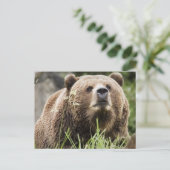 ALASKA POSTKARTE (Stehend Vorderseite)