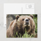 ALASKA POSTKARTE (Vorne/Hinten)