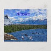Alaska Postkarte (Vorderseite)