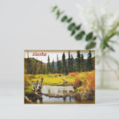 Alaska Postkarte (Stehend Vorderseite)