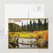 Alaska Postkarte (Vorne/Hinten)