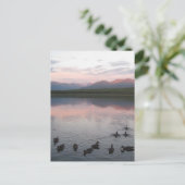 Alaska Postkarte (Stehend Vorderseite)