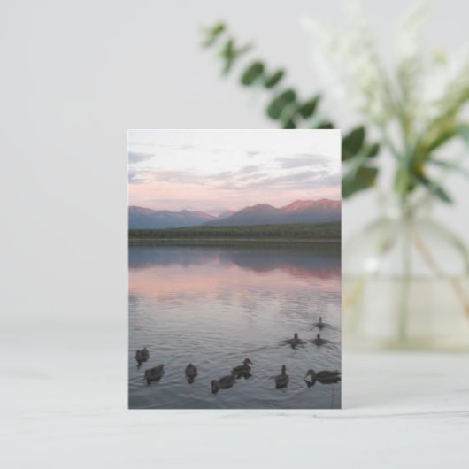 Alaska Postkarte (Stehend Vorderseite)