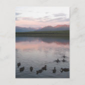 Alaska Postkarte (Vorderseite)