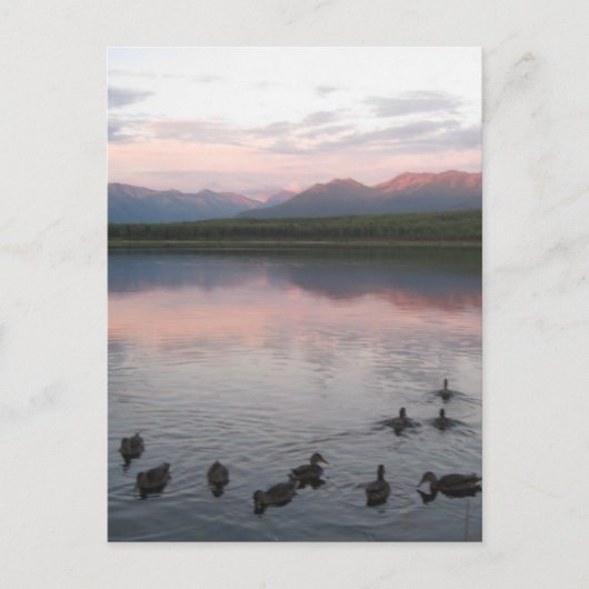 Alaska Postkarte (Vorderseite)