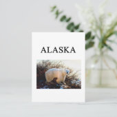 Alaska Postkarte (Stehend Vorderseite)