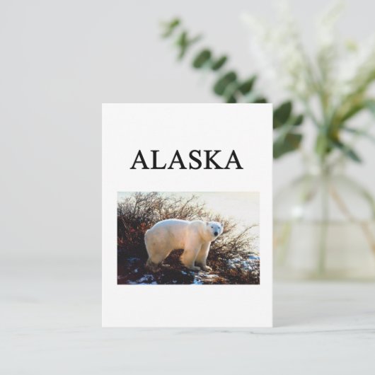 Alaska Postkarte (Stehend Vorderseite)