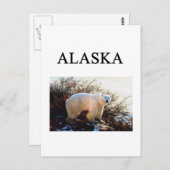 Alaska Postkarte (Vorne/Hinten)