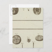 Alaska Postkarte (Vorne/Hinten)