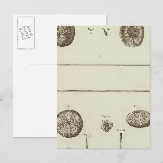 Alaska Postkarte (Vorne/Hinten)