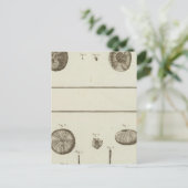 Alaska Postkarte (Stehend Vorderseite)