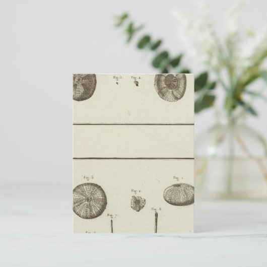 Alaska Postkarte (Stehend Vorderseite)