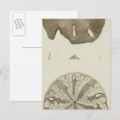 Alaska Postkarte (Vorne/Hinten)