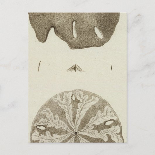 Alaska Postkarte (Vorderseite)