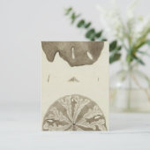 Alaska Postkarte (Stehend Vorderseite)