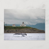 Alaska Postkarte (Vorderseite)