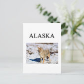 Alaska Postkarte (Stehend Vorderseite)