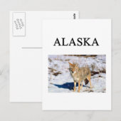 Alaska Postkarte (Vorne/Hinten)