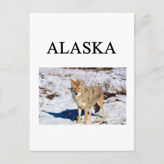 Alaska Postkarte (Vorderseite)