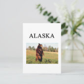 Alaska Postkarte (Stehend Vorderseite)