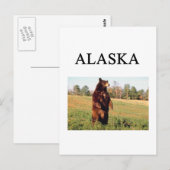 Alaska Postkarte (Vorne/Hinten)