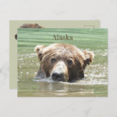 Alaska Postkarte des Grizzlybären (Vorne/Hinten)