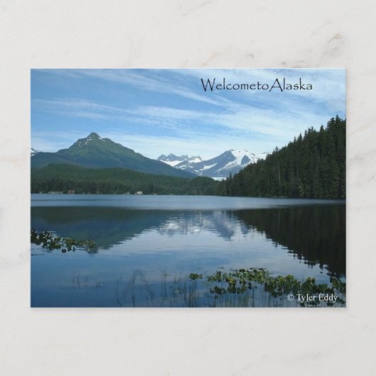 Alaska-Postkarte Postkarte (Vorderseite)