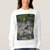 Alaska - Puffin auf Steinen Sweatshirt (Vorderseite)
