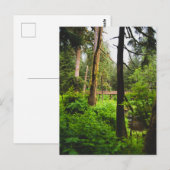 Alaska Rainforest Postkarte (Vorne/Hinten)