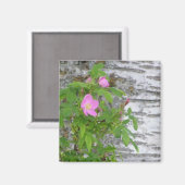 Alaska Rose #12 Magnet (Vorderseite/Rückseite)