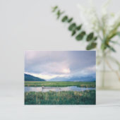 Alaska Sanctuary Postkarte (Stehend Vorderseite)