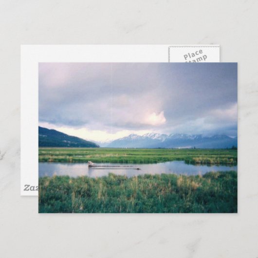Alaska Sanctuary Postkarte (Vorne/Hinten)