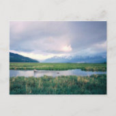 Alaska Sanctuary Postkarte (Vorderseite)