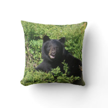 Alaska - Schwarzer Bär in Berry Bushes