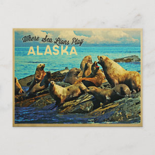 Alaska-Seelöwen Postkarte