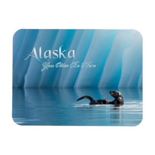 Alaska-Sie Otter sind hier Magnet