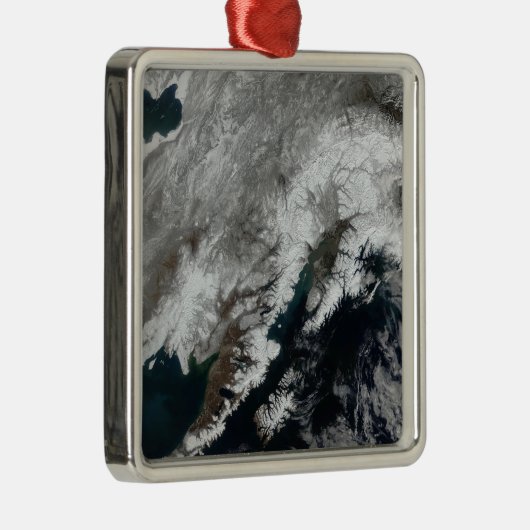 Alaska Silbernes Ornament (Rechts)