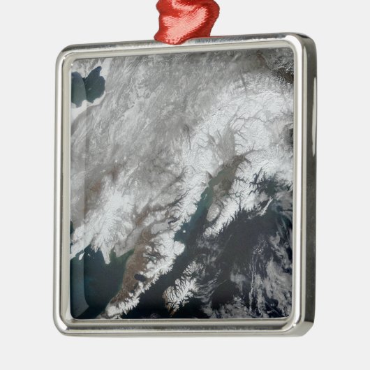Alaska Silbernes Ornament (Links)