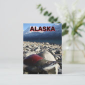 Alaska Sockeye Salmon Postkarte (Stehend Vorderseite)