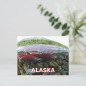 Alaska Sockeye Salmon Postkarte (Stehend Vorderseite)