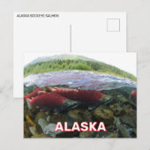 Alaska Sockeye Salmon Postkarte (Vorne/Hinten)