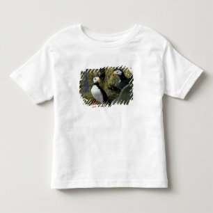 Alaska, St. Paul Island, die Pribilofs, gehörnt Kleinkind T-shirt