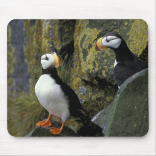 Alaska, St. Paul Island, die Pribilofs, gehörnt Mousepad