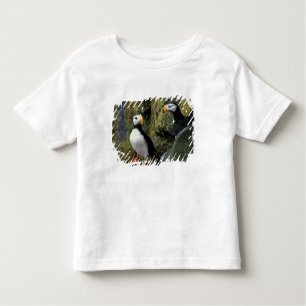 Alaska, St. Paul Island, die Pribilofs, horned Kleinkind T-shirt